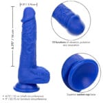 CALEXOTICS - ADMIRAL VIBRATEUR GODE RÉALISTE SAILOR BLEU – Image 4