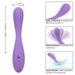 CALEXOTICS - CONTOUR DEMI-VIOLET – Image 2