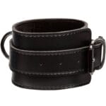 CALEXOTICS - EUPHORIA MENOTTES – Image 5