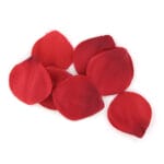 EXTASE SENSUAL - COFFRE TENTATION ROUGE – Image 4