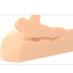 PDX PLUS - MASTURBATEUR DE PÉNIS ET D'ANUS PERFECT RIDE – Image 5