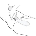 SHUNGA - MASSEUR INTIME ZOA ROSE – Image 6