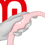 WATCHME - MONTRE À TECHNOLOGIE SANS FIL ROSE TENDRE – Image 10